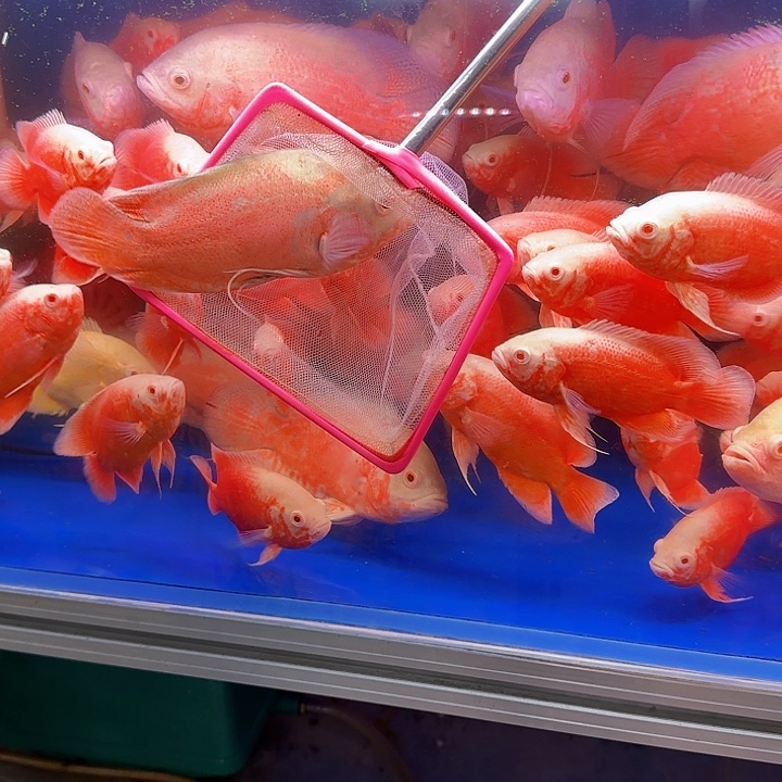 小***生海水啊啊啊啊啊啊啊啊啊