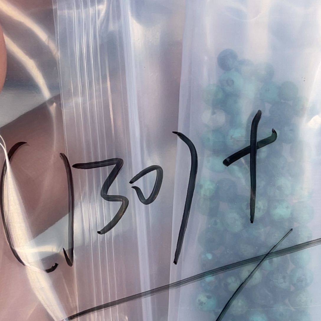 諾***諾吊坠柏香籽/百香籽