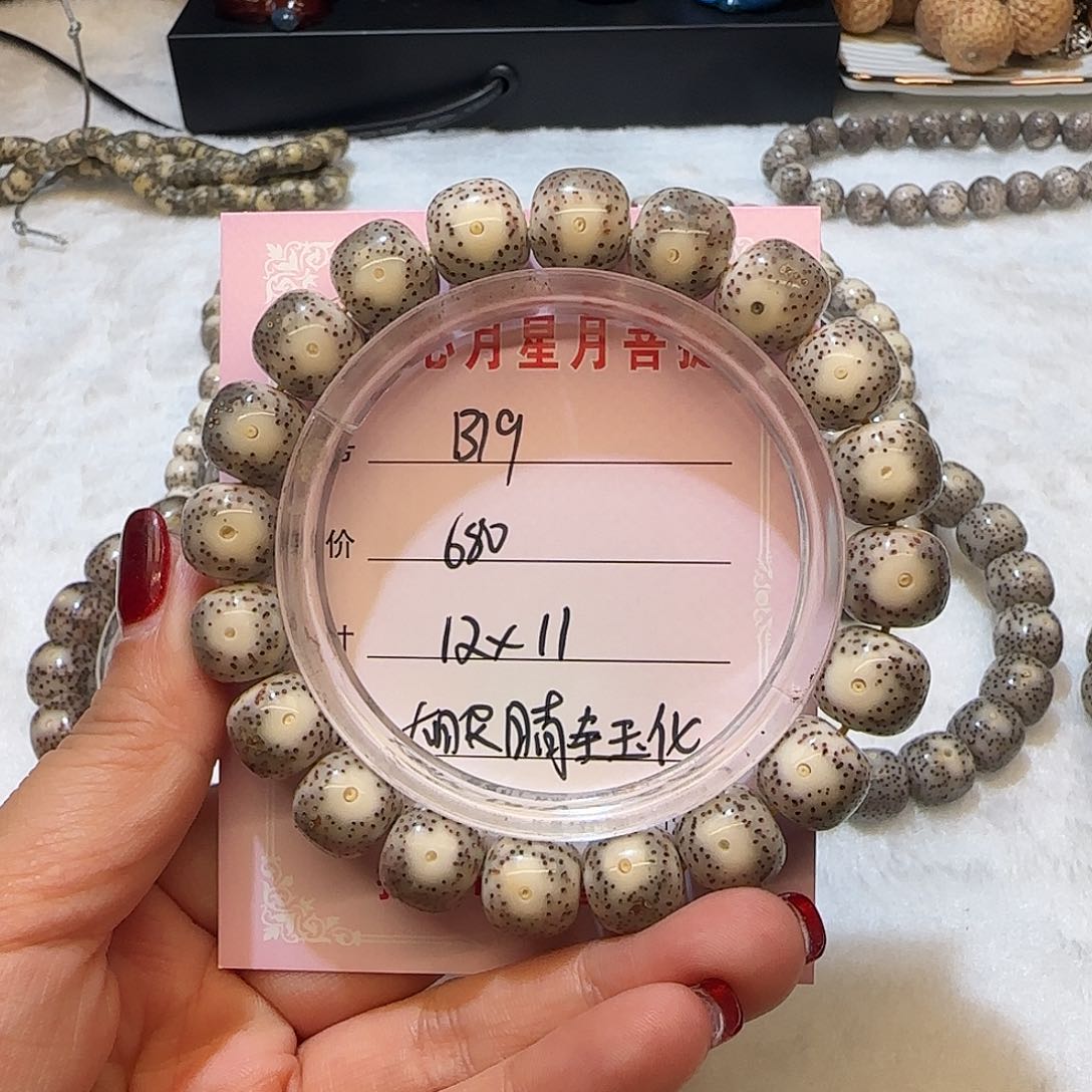 心月星月菩提一号B19