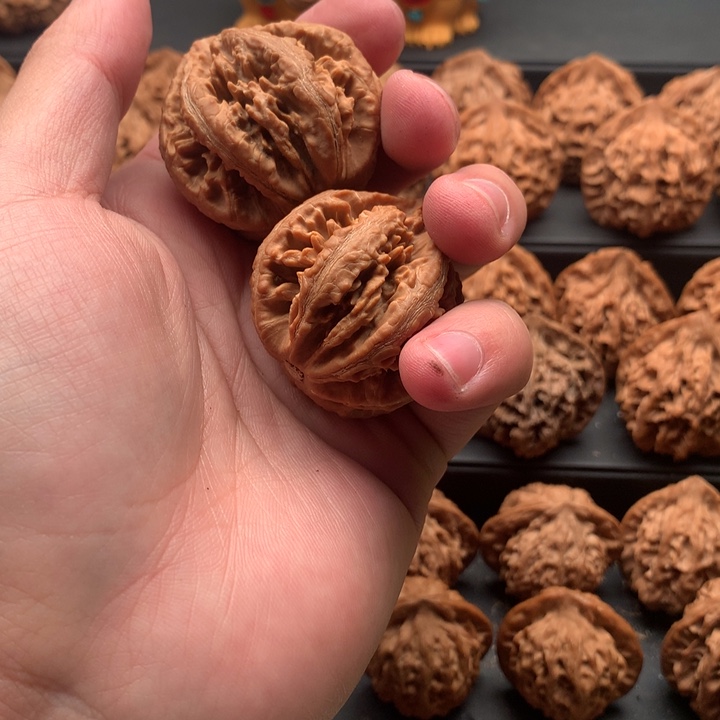 其他核桃弯*秦岭灯笼