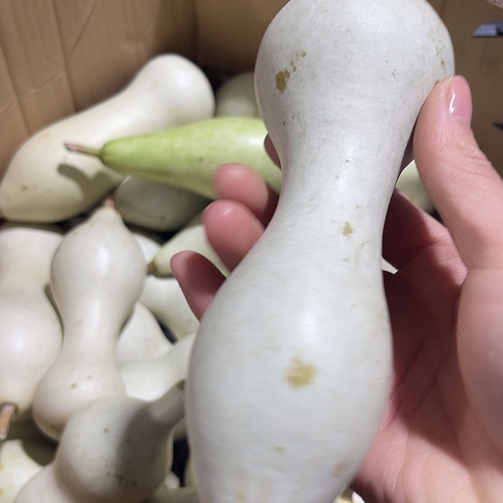 非洲紫檀（红花梨）俊