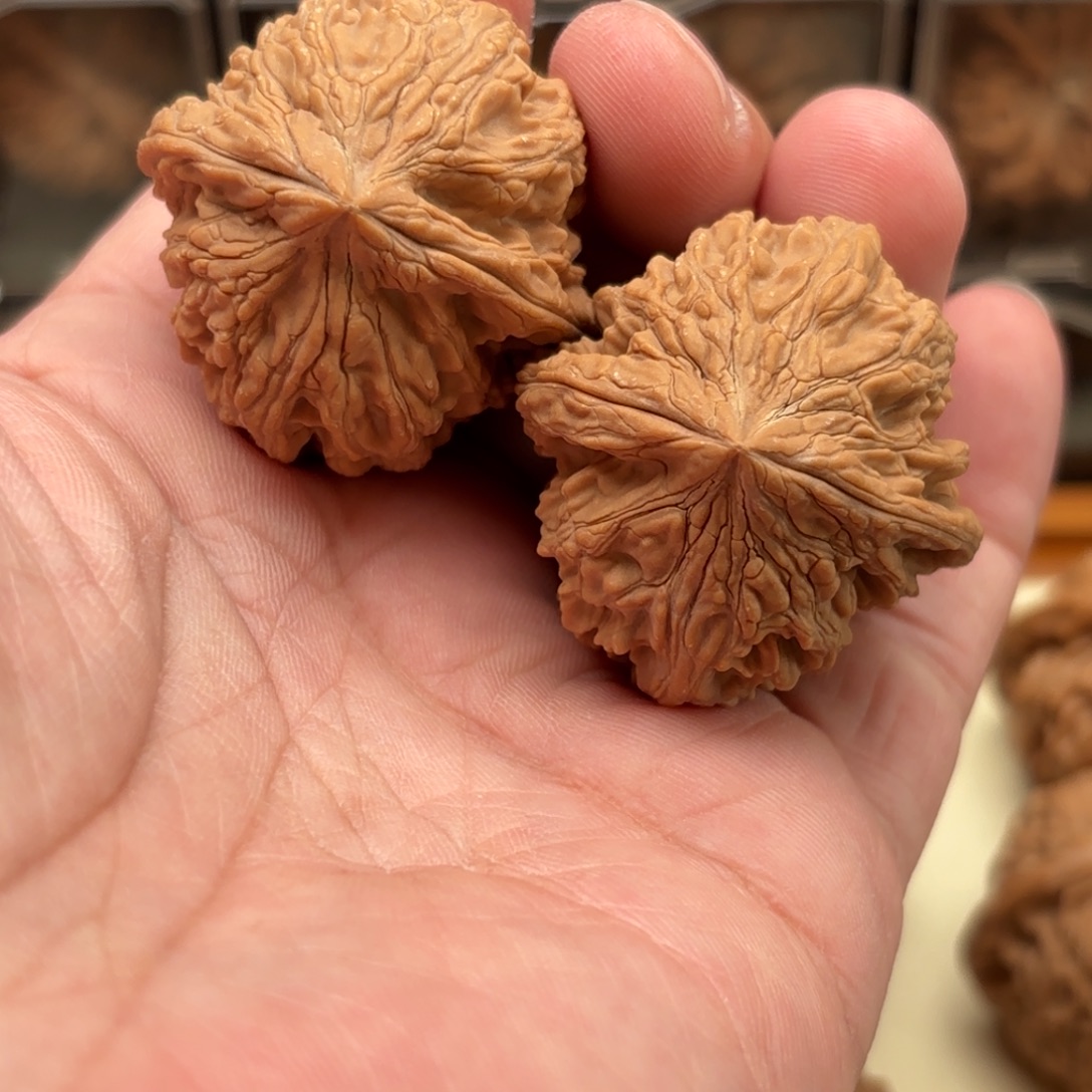 ****笑把件文玩核桃大沽石