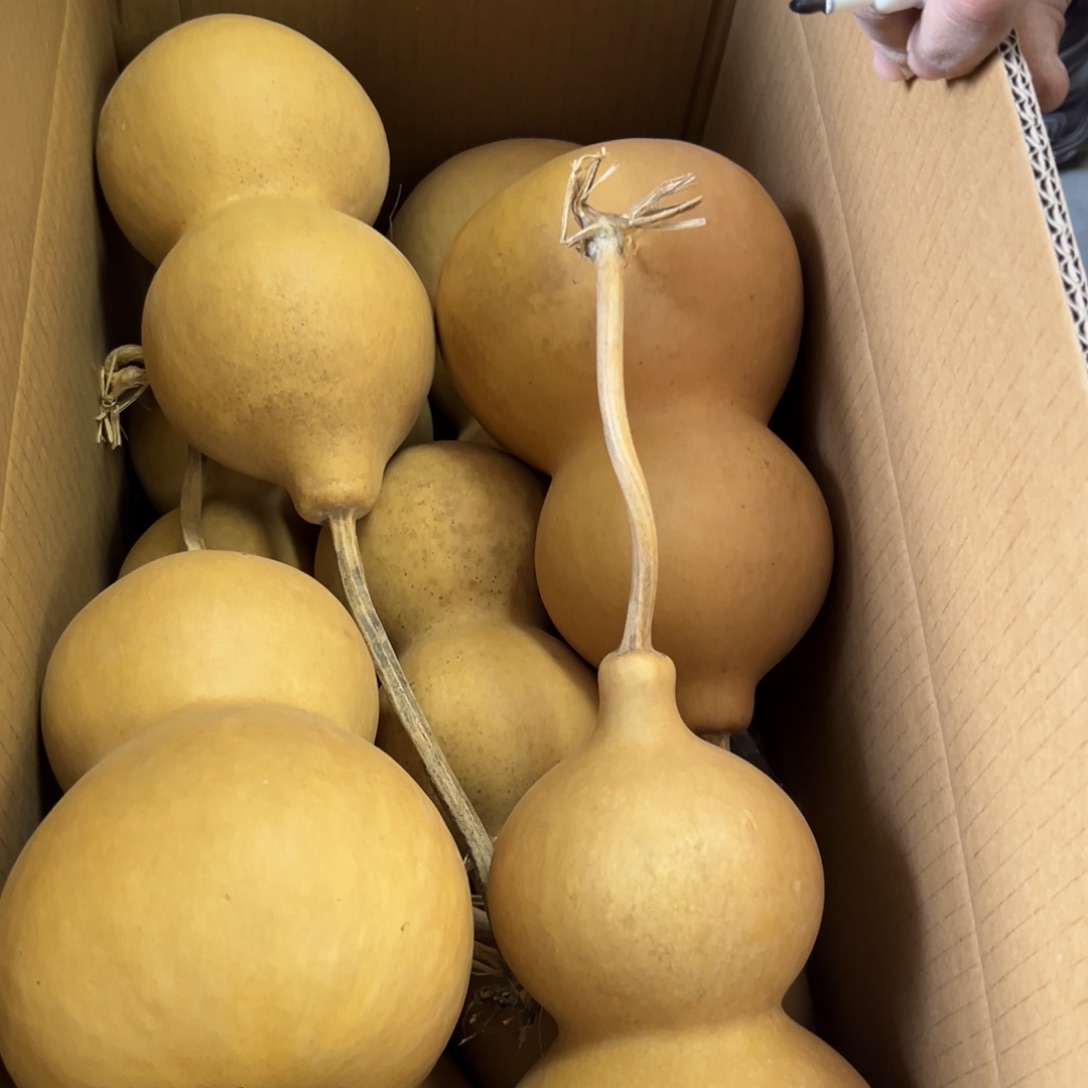 1***6有机玻璃葫芦葫芦