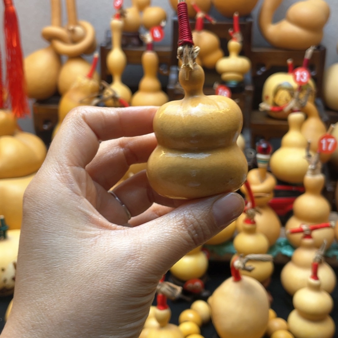 多*乐大自然的秘密第十一节你的