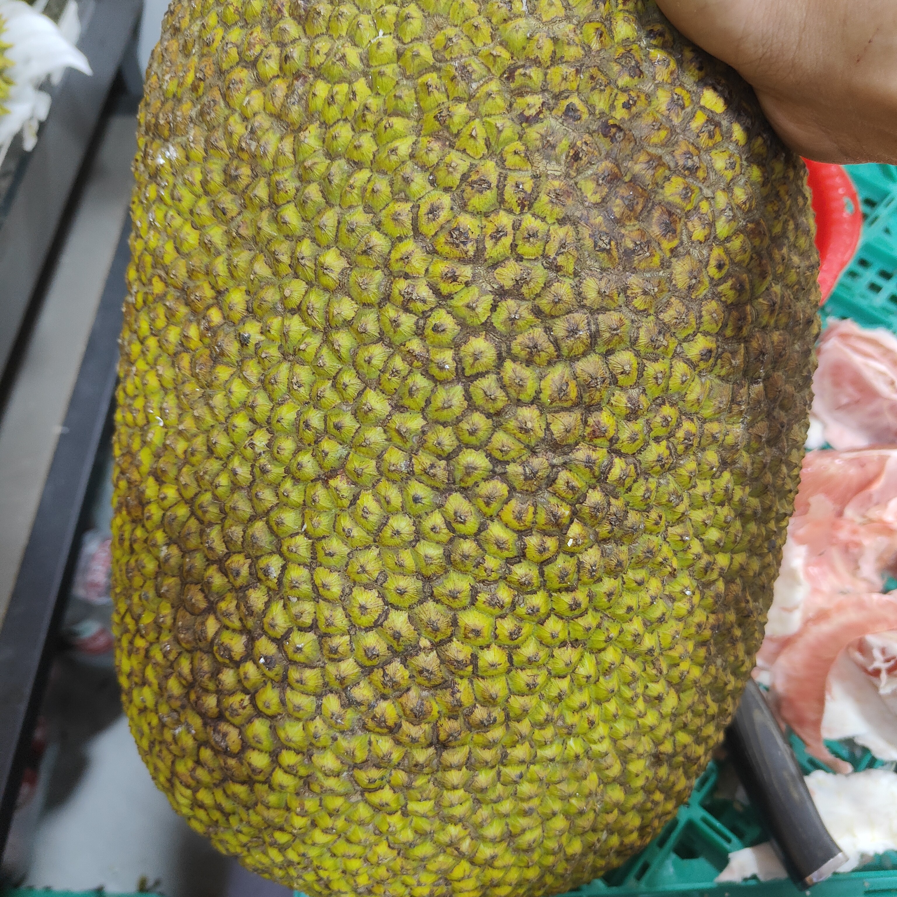 脆甜应季红肉菠萝蜜500g