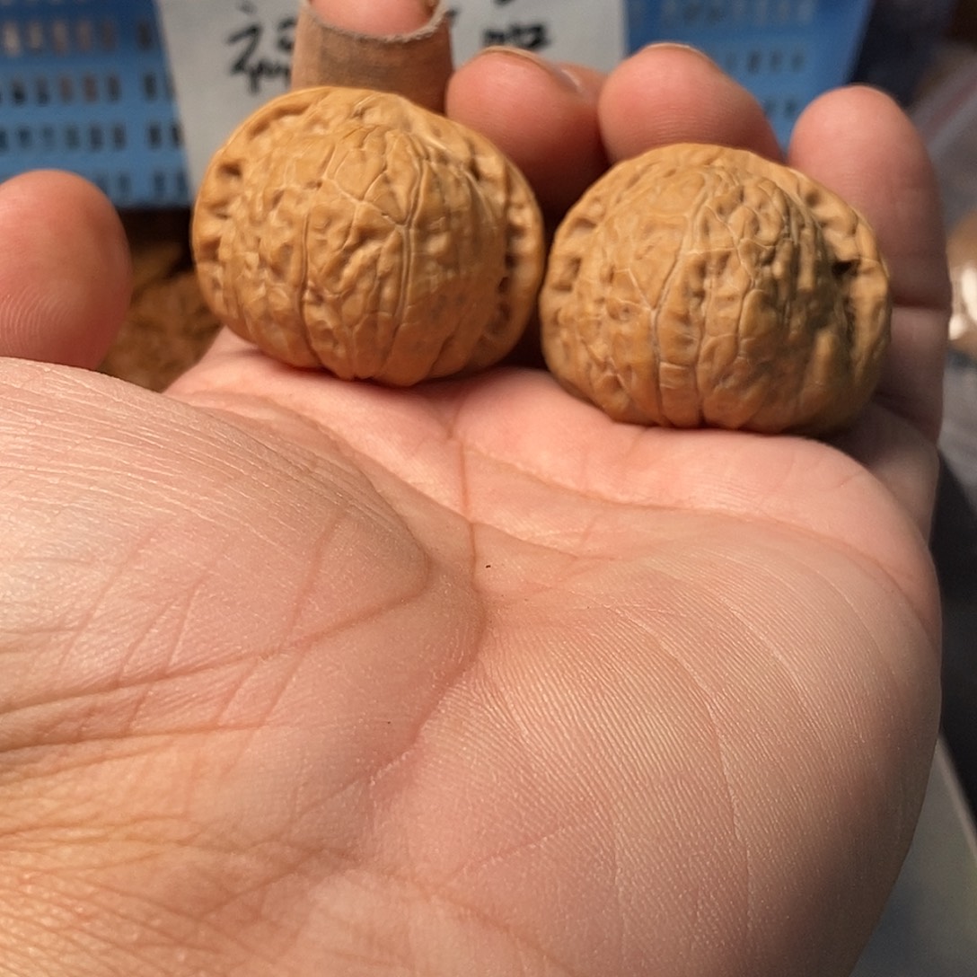 齐***呛文玩核桃南瓜墩36