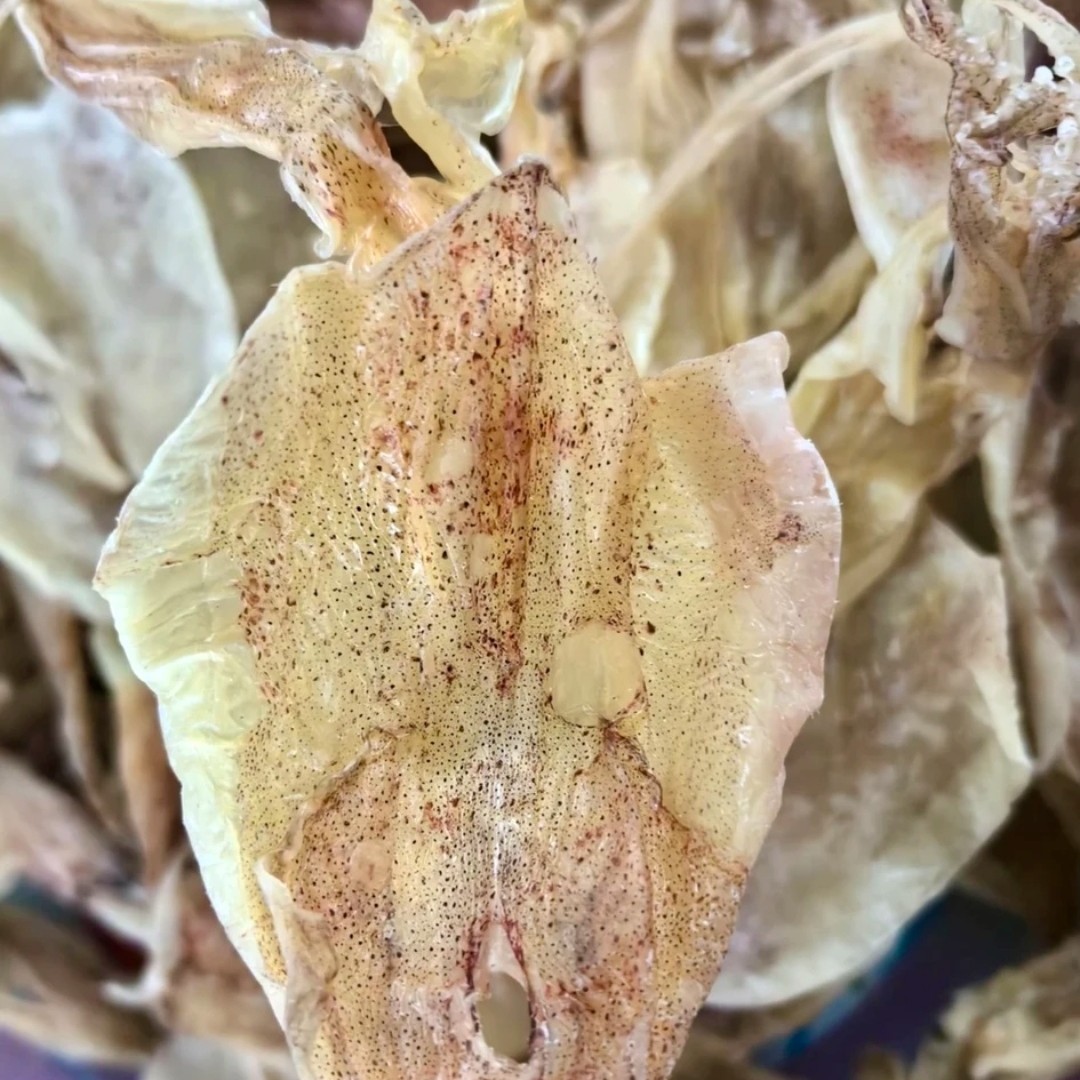 湛江特产 本地船晒鱿鱼 淡干没盐 炒菜煲粥