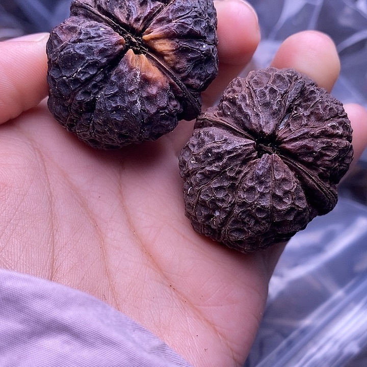 把件文玩核桃   51