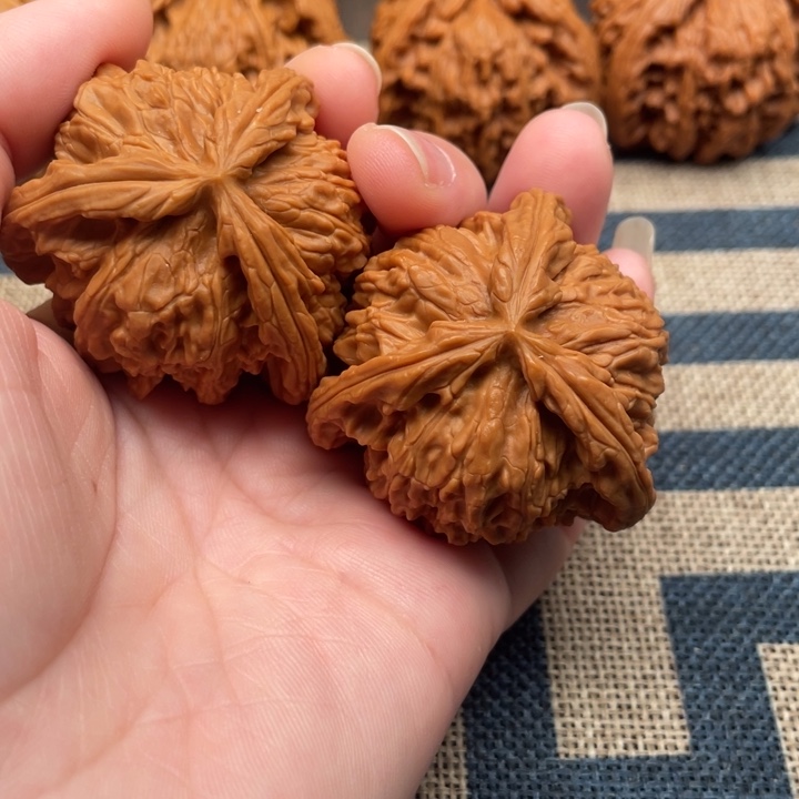 天***8核桃白狮子43核桃