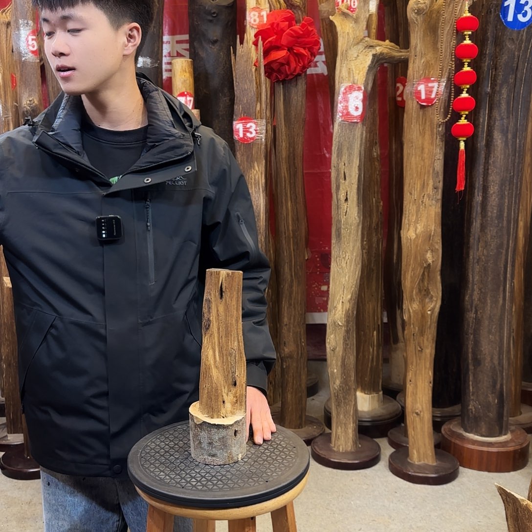 沉香摆件海南沉香