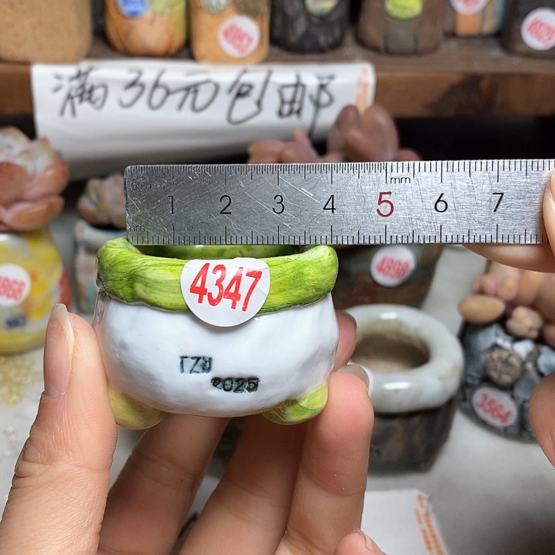 红陶拍5送一个小