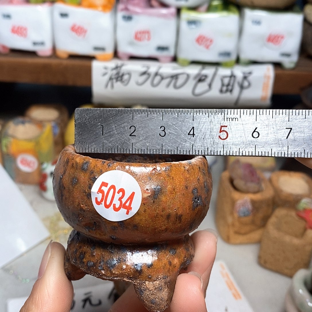 红陶拍5送一个小