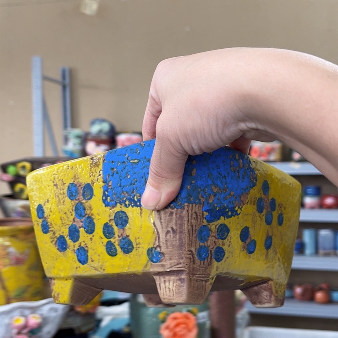 【闪购商品】红陶福利