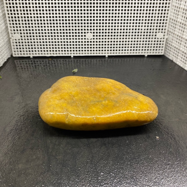 【福利款】天然黄蜡石黄色养龟乌龟晒台乌龟发色小青晒台盆景石鱼缸