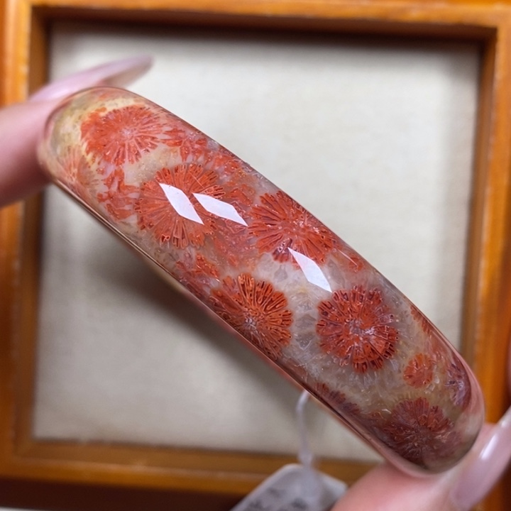 硅化珊瑚（珊瑚玉）手镯未镶嵌56.8 红大花 折后