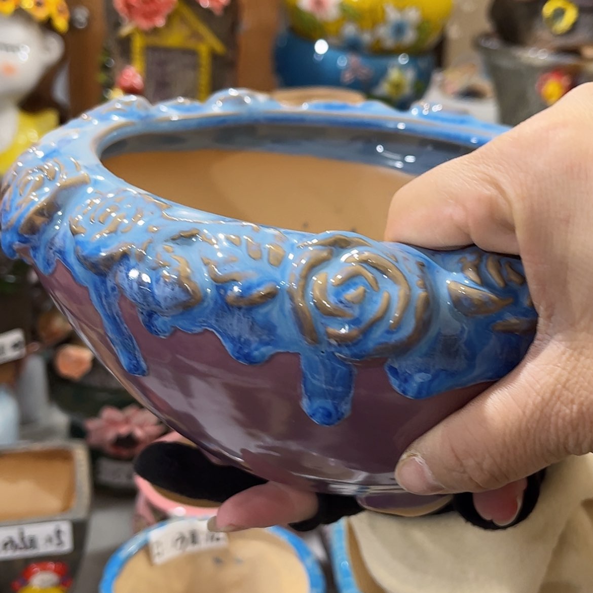 【闪购商品】红陶福利