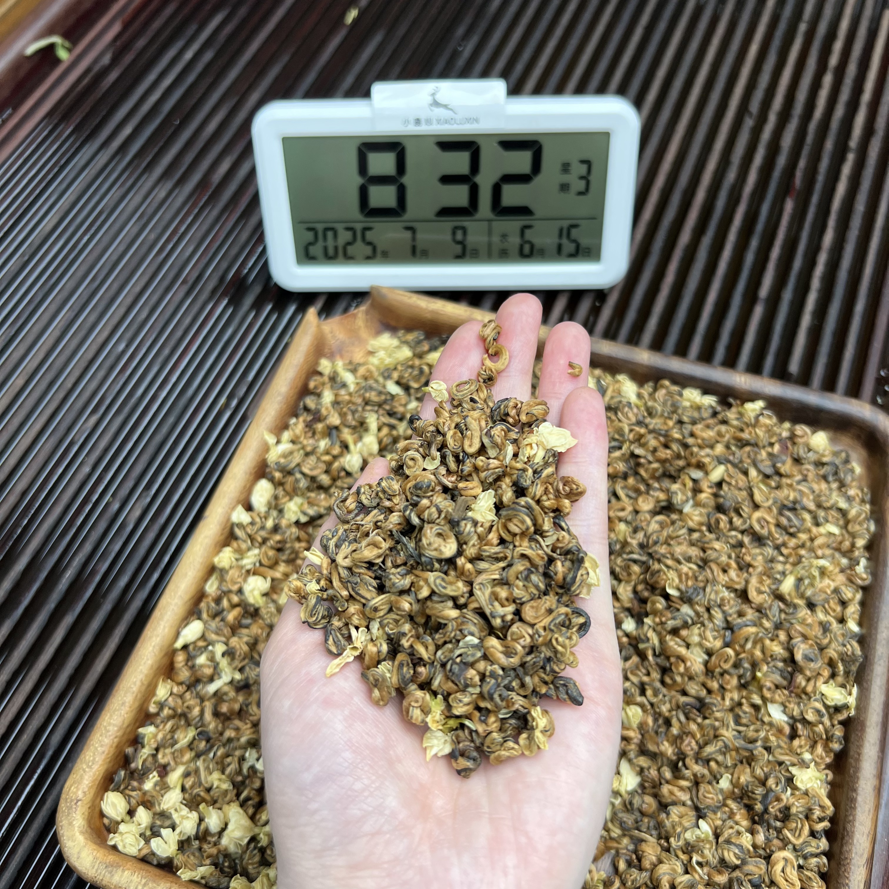茉莉手工奶螺  ② 小鹿收茶 头春头采 茉莉红茶 云南滇红 7月9