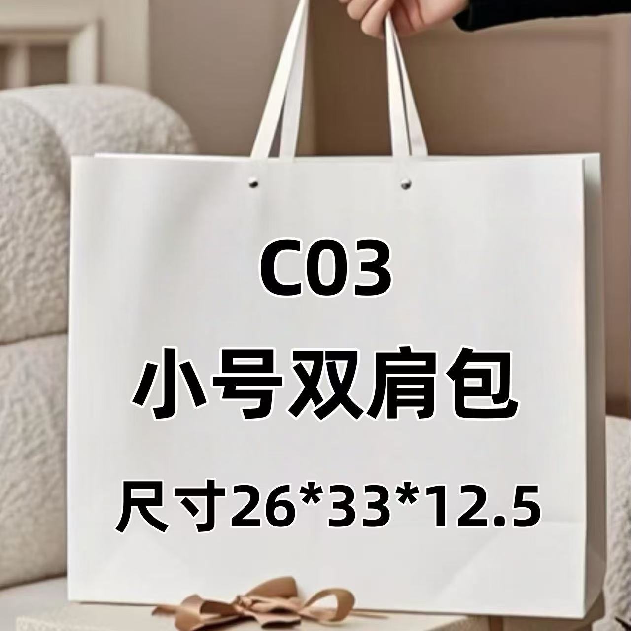 C03《小号双肩包》