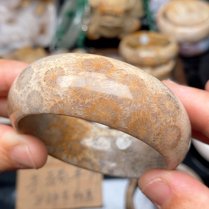 硅化珊瑚（珊瑚玉）手镯未镶嵌51.4