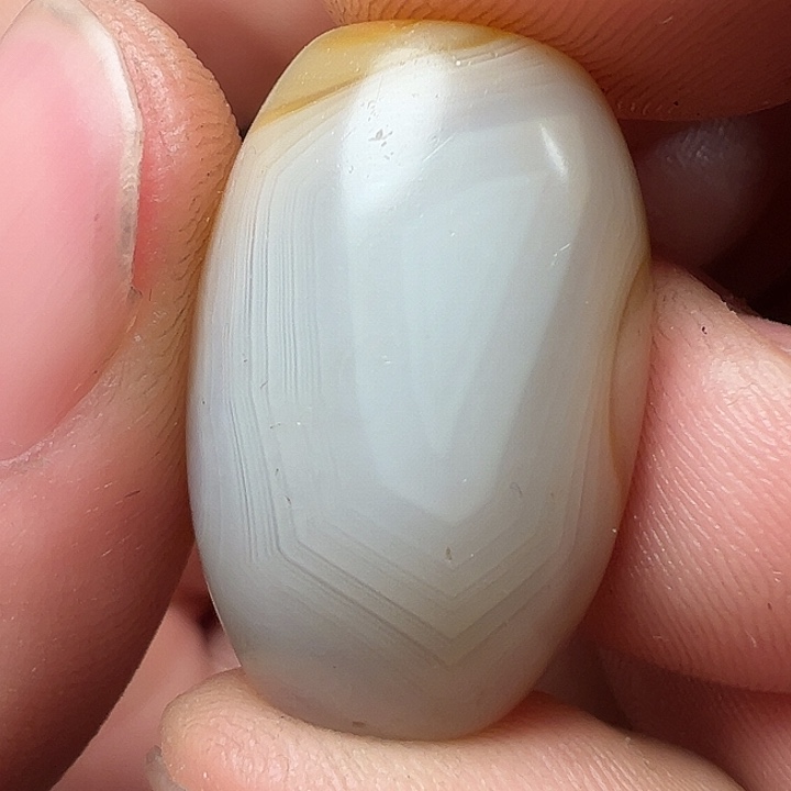 我们都是在这里看到的哈我们