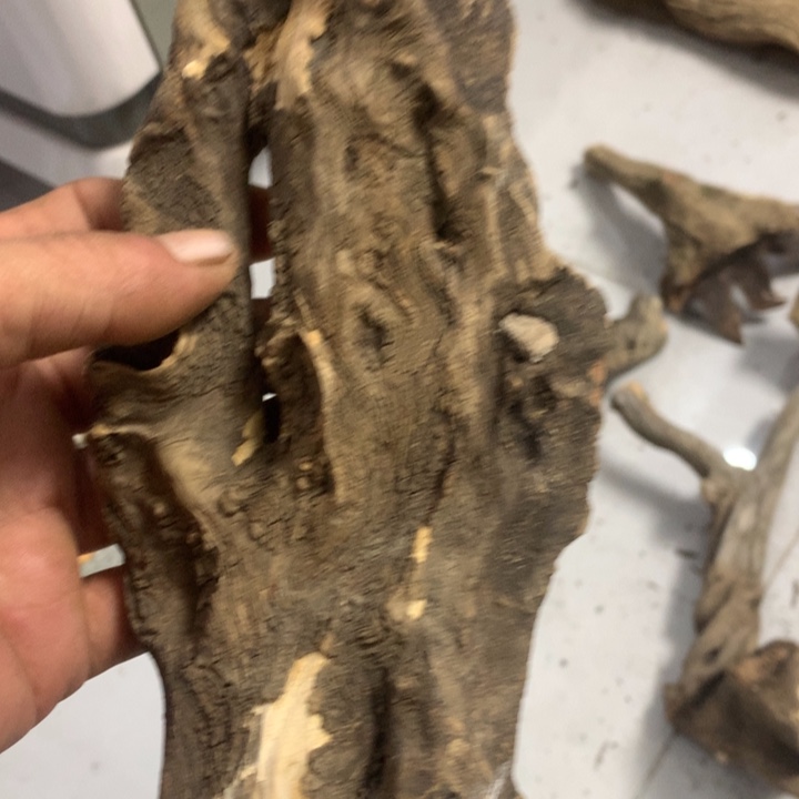 虎***.无花朵今天晚上在学校吃饭