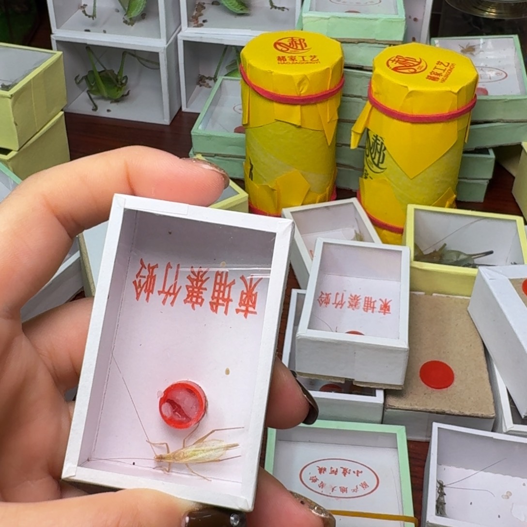 自***人一条竹林。          