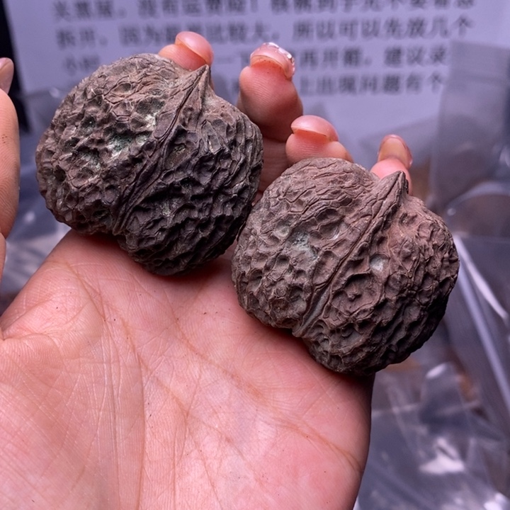 核桃云南野生铁核桃64号43mm