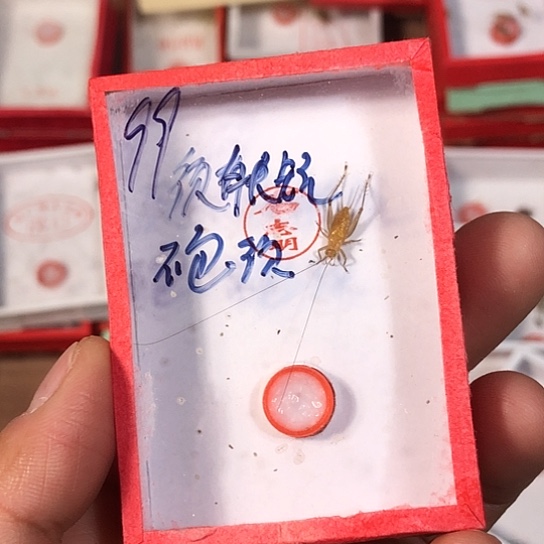 少***丈333333333333333333