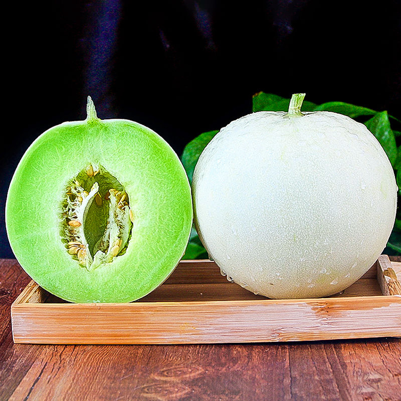 玉菇冰淇淋甜瓜头茬沙地新鲜水果软糯香甜应季香瓜蜜瓜现摘现发