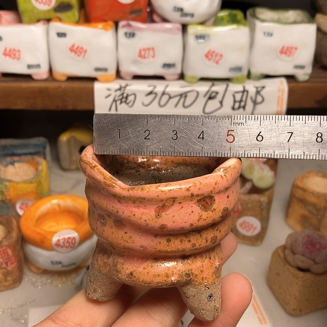 红陶拍5送一个小