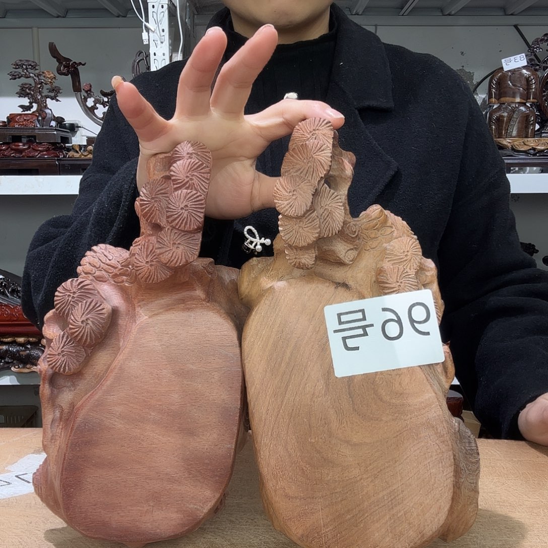 大果紫檀（缅甸花梨）