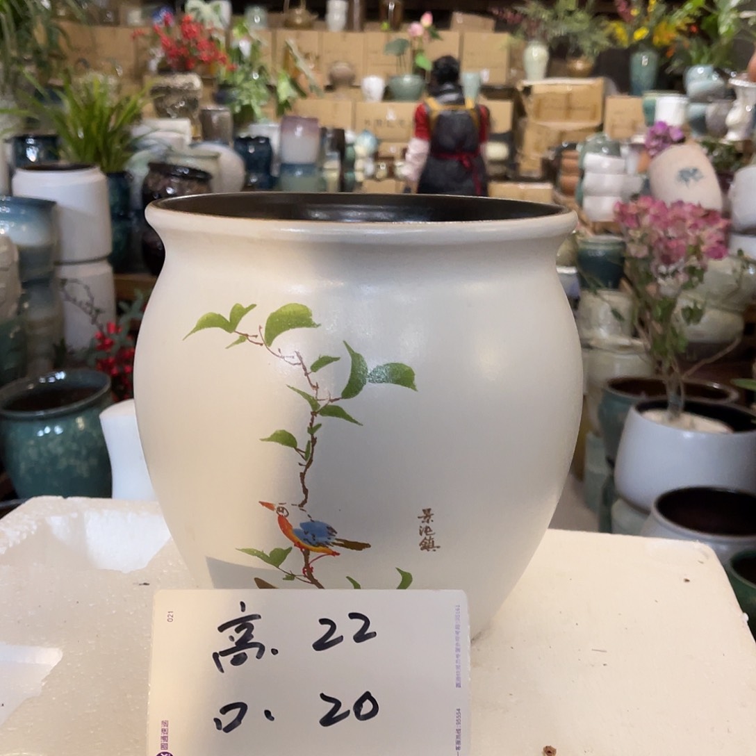 红陶高度22口径20