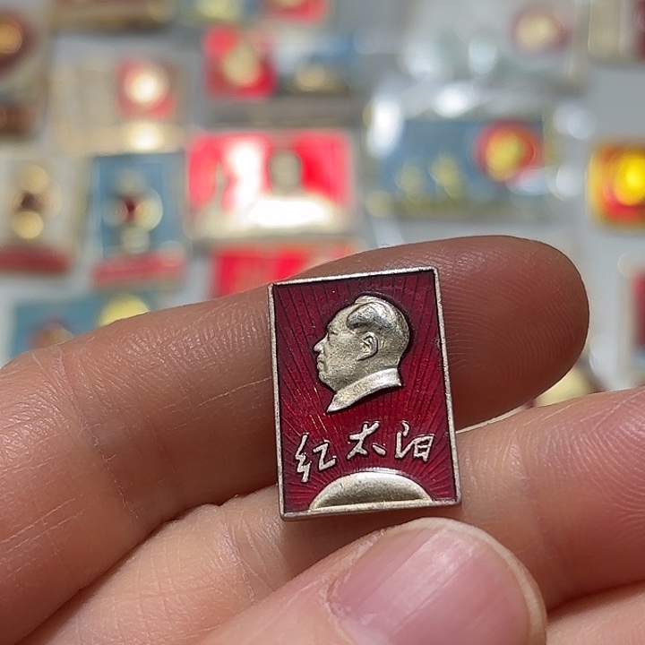 其他普通金属小***了纪念章纪念章