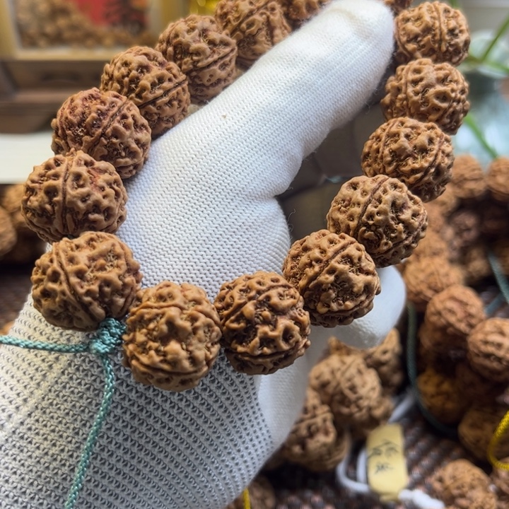 *****手串金刚菩提古龙梅花双龙原生态送老粉