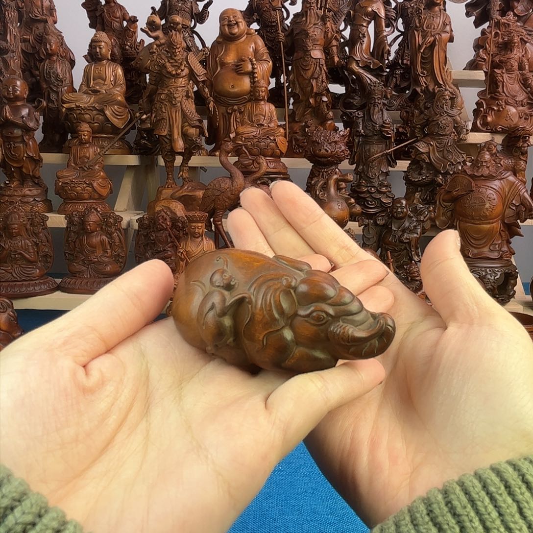 黄杨木小叶黄杨木