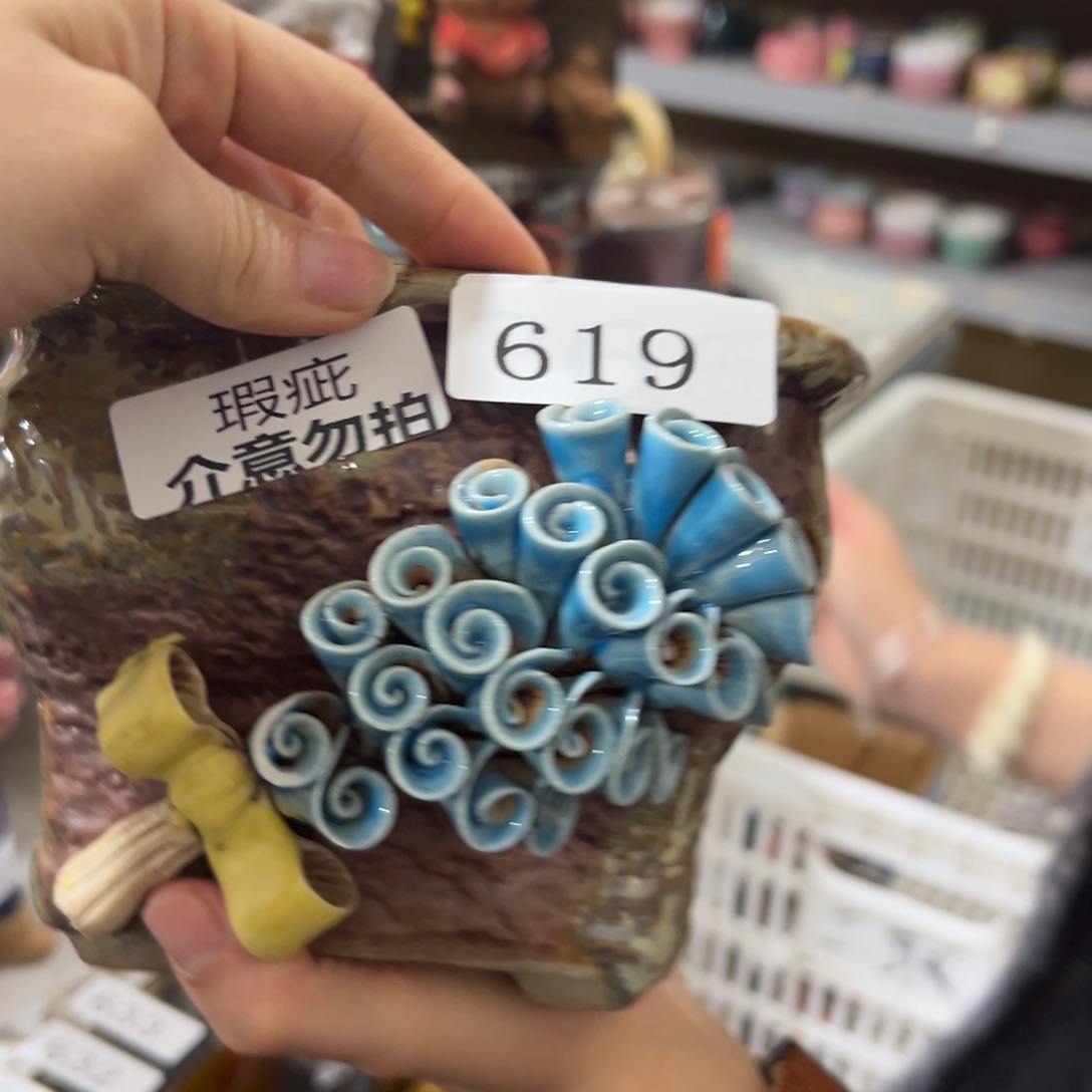 瑕疵619 多肉花盆多肉花盆