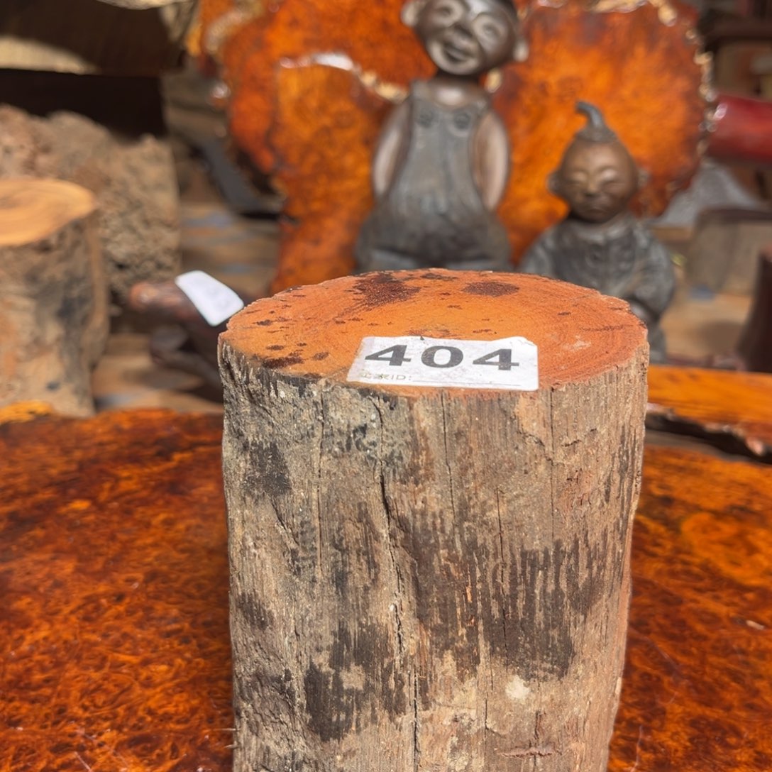 大果紫檀（缅甸花梨）