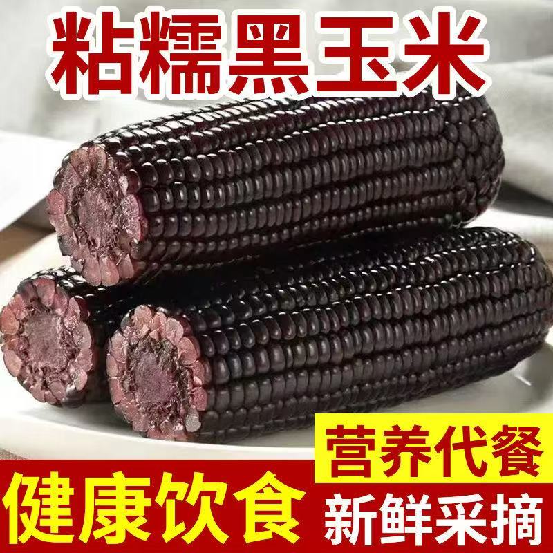 【14根黑糯】东北黑甜糯玉米香甜软糯真空独立包装一大箱kk