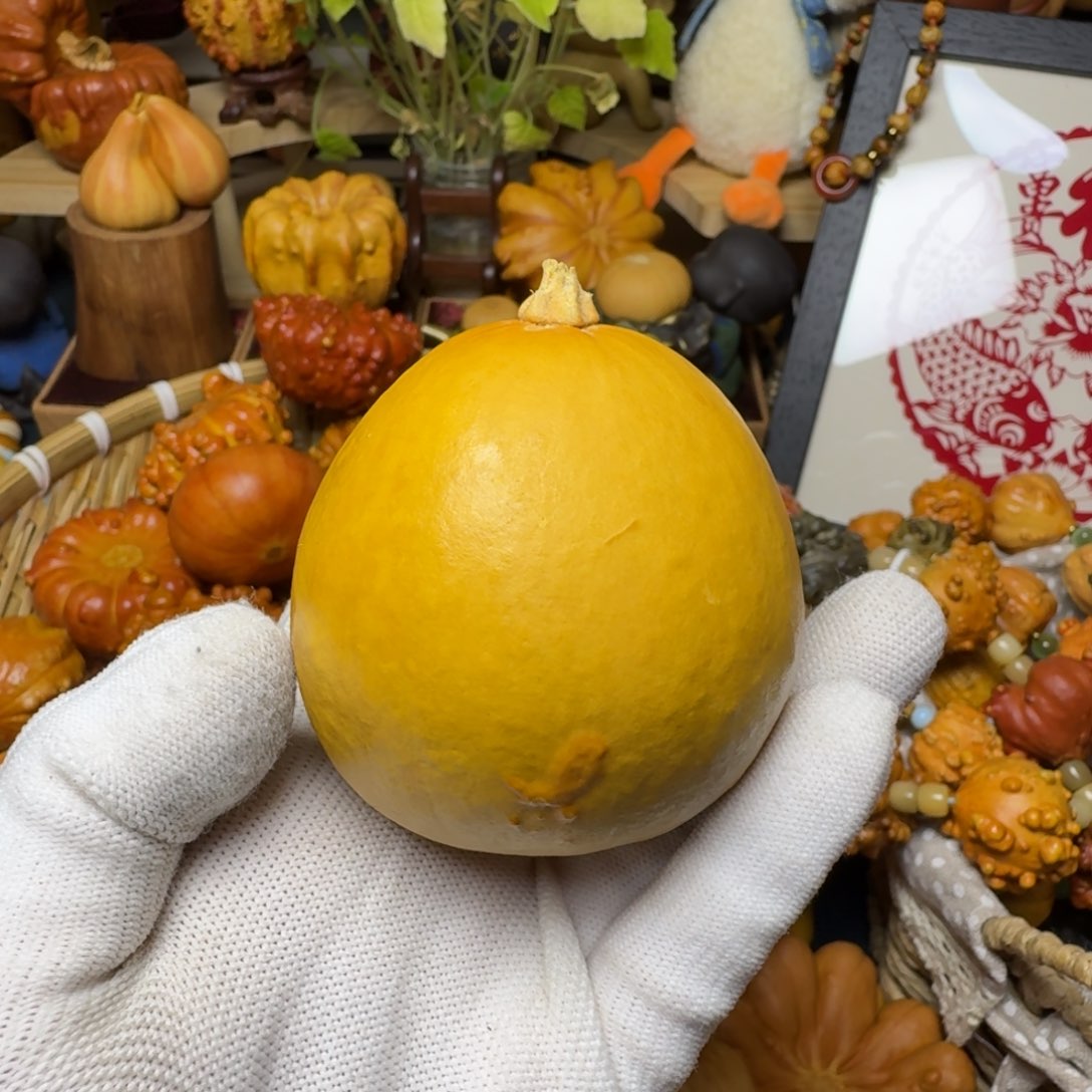 金***中特价葫芦不退不换