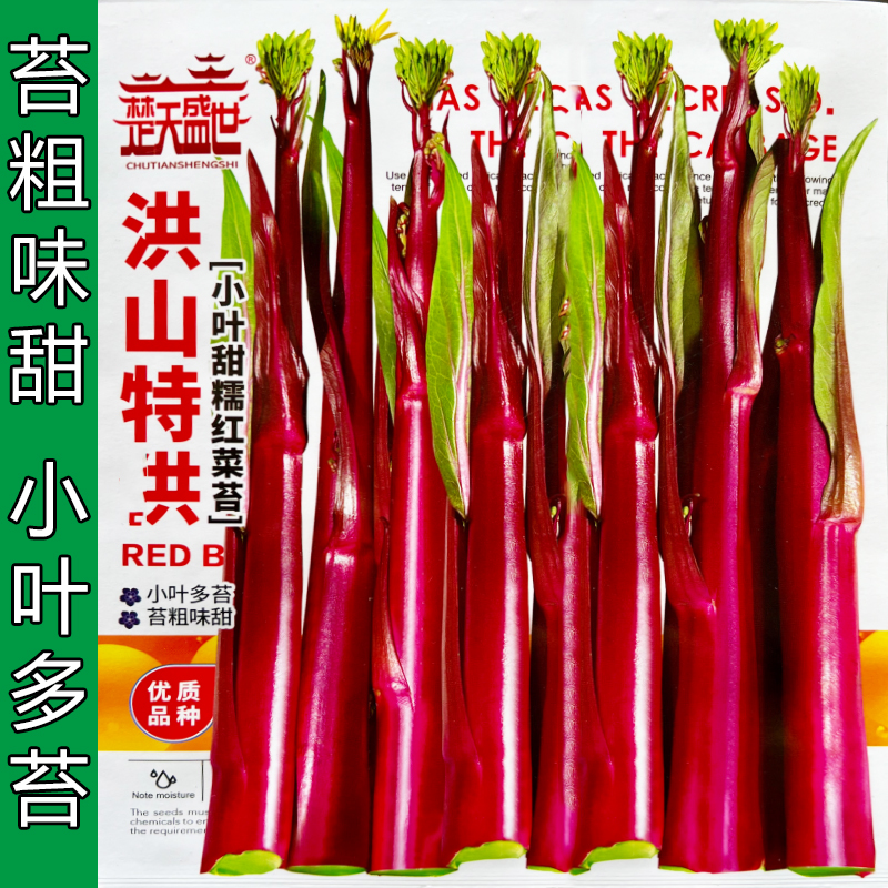 正宗湖北武汉洪山红菜苔种子小叶多苔粗味甜秋季耐寒过冬蔬菜种子