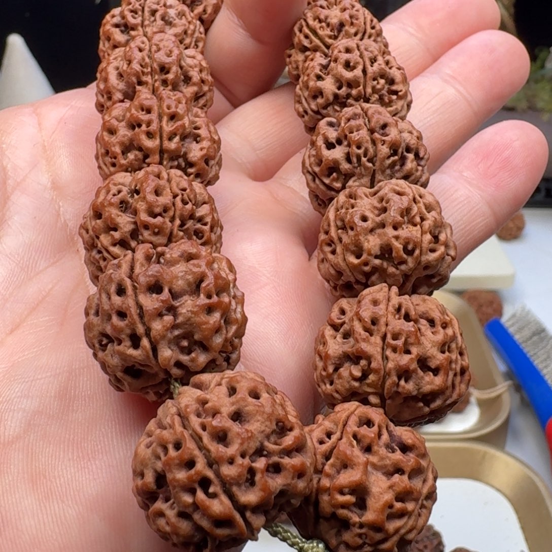 金刚菩提手串蜂窝双龙