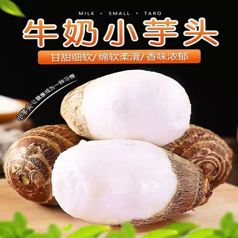 山东牛奶芋头芋艿香芋新鲜应季现挖现发产地直销香甜软糯芋头