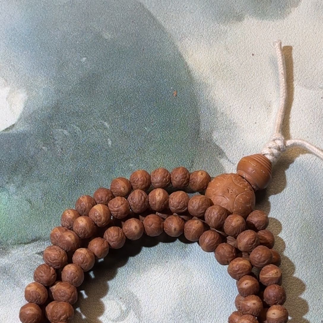 F****凤眼菩提吊坠酸枣核凤眼菩提