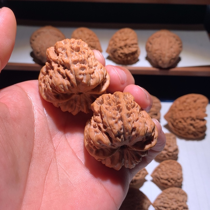 文玩核桃吊坠金蝉王