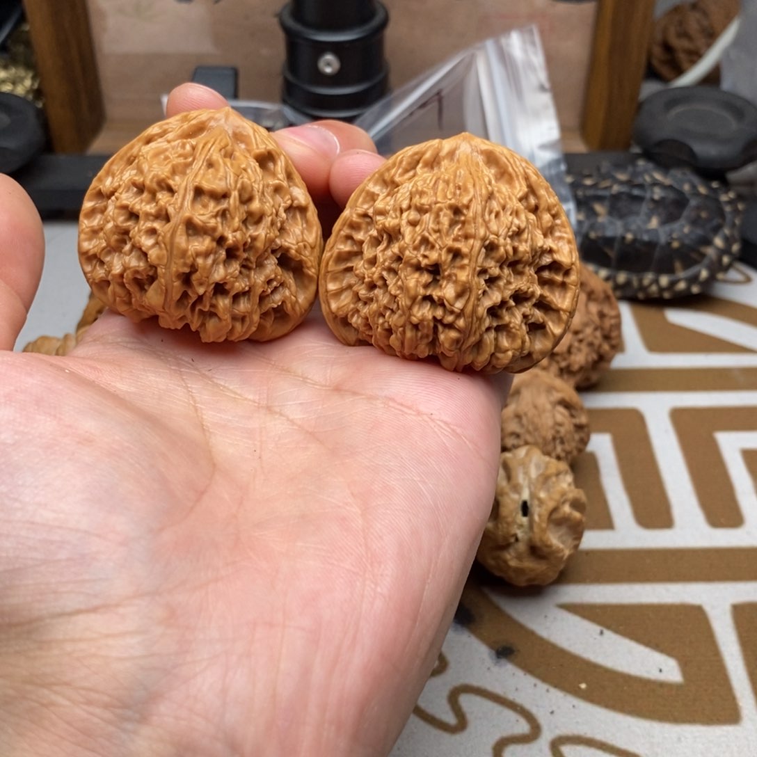 45南疆石哈哈哈哈哈哈哈三角南疆
