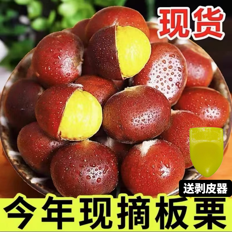 【买3斤送2斤】新鲜现摘高山板栗甘甜清脆鲜香生栗子难剥皮送栗爪C1
