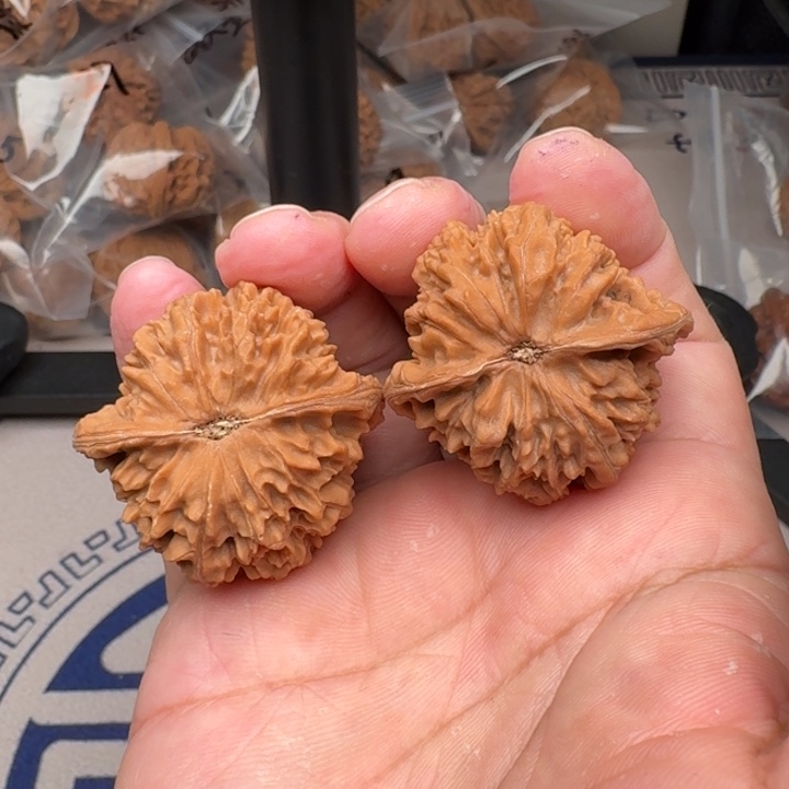 桃核把件山地满天星40+尺32