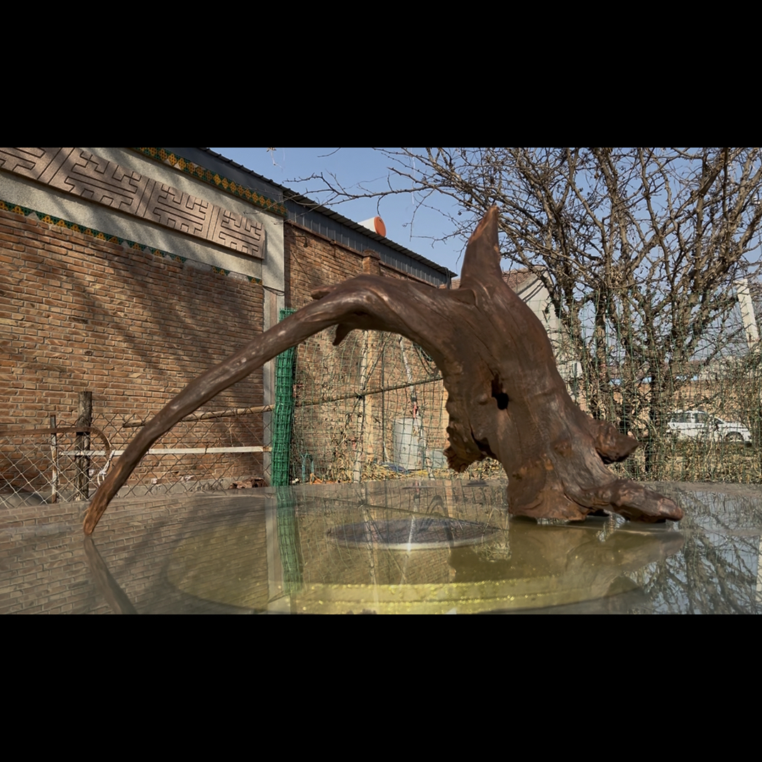 尺寸：62✖️33✖️38，鱼缸造景沉木摆件，紫柚木，秒沉水，包煮，南美缸