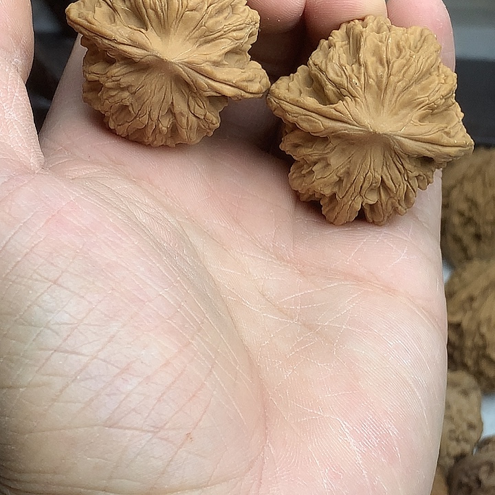 无***眠吊坠文玩核桃麦虎40 