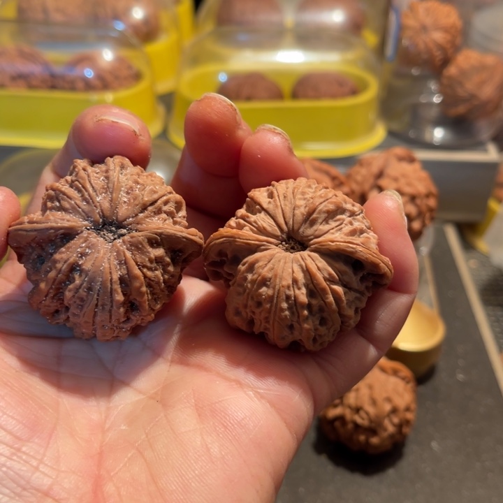 文玩核桃把件血麒麟43